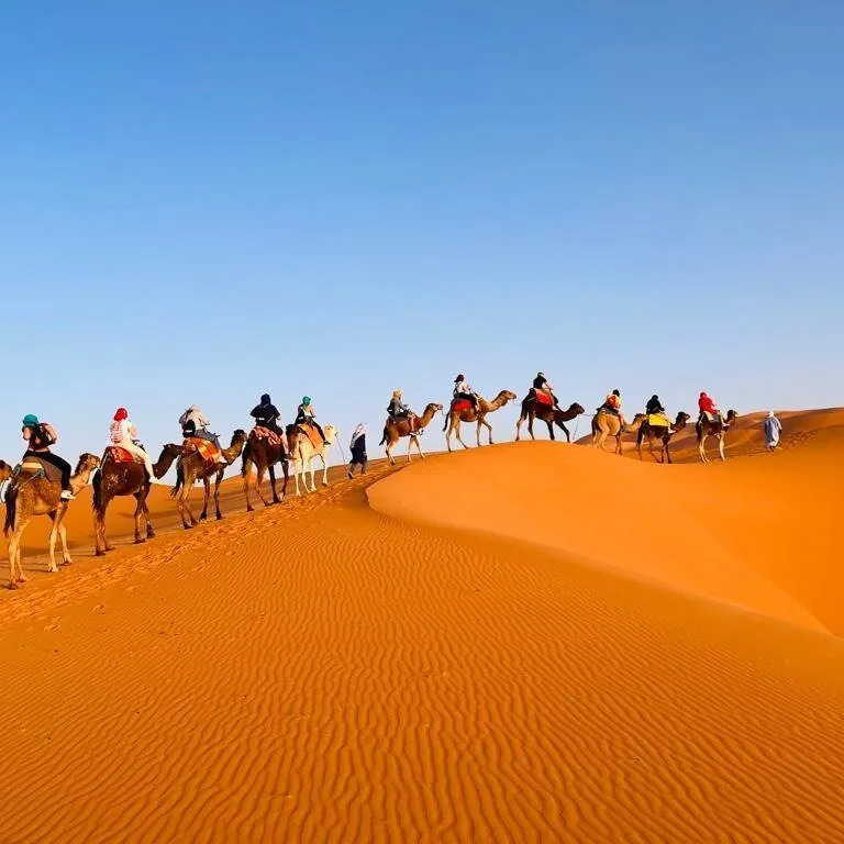 Private transfers across Morocco